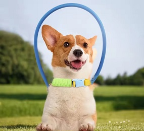 Collar anticolisión