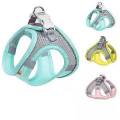 Pechera perro pequeño